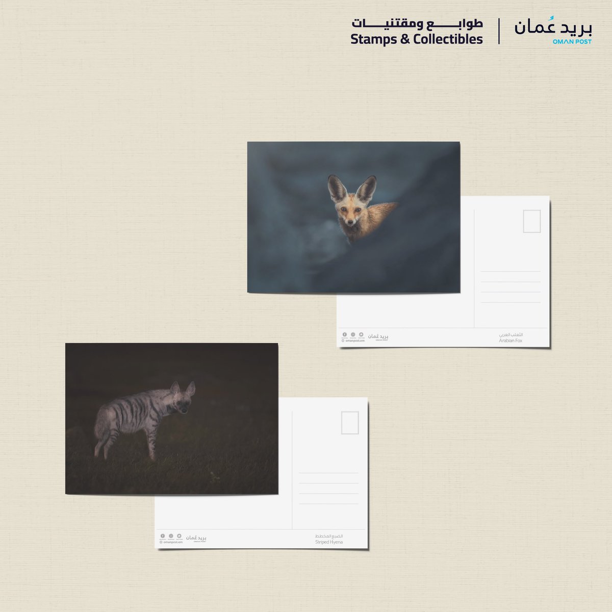 @h_shanfari In cooperation with the wildlife photographer Haitham Al Shanfari, we are pleased to announce the launch of a postcard collection with exclusive pictures of the Omani wildlife. The postcards collection is available for purchase at the #OmanPost Stamps & Collectibles shop at the…