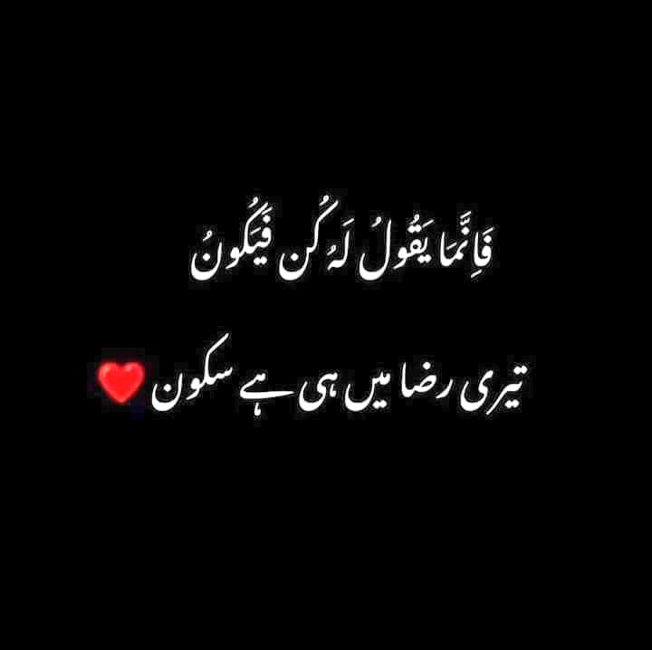 FDhako's tweet photo. Beshak https://t.co/hYYOHKIOH5