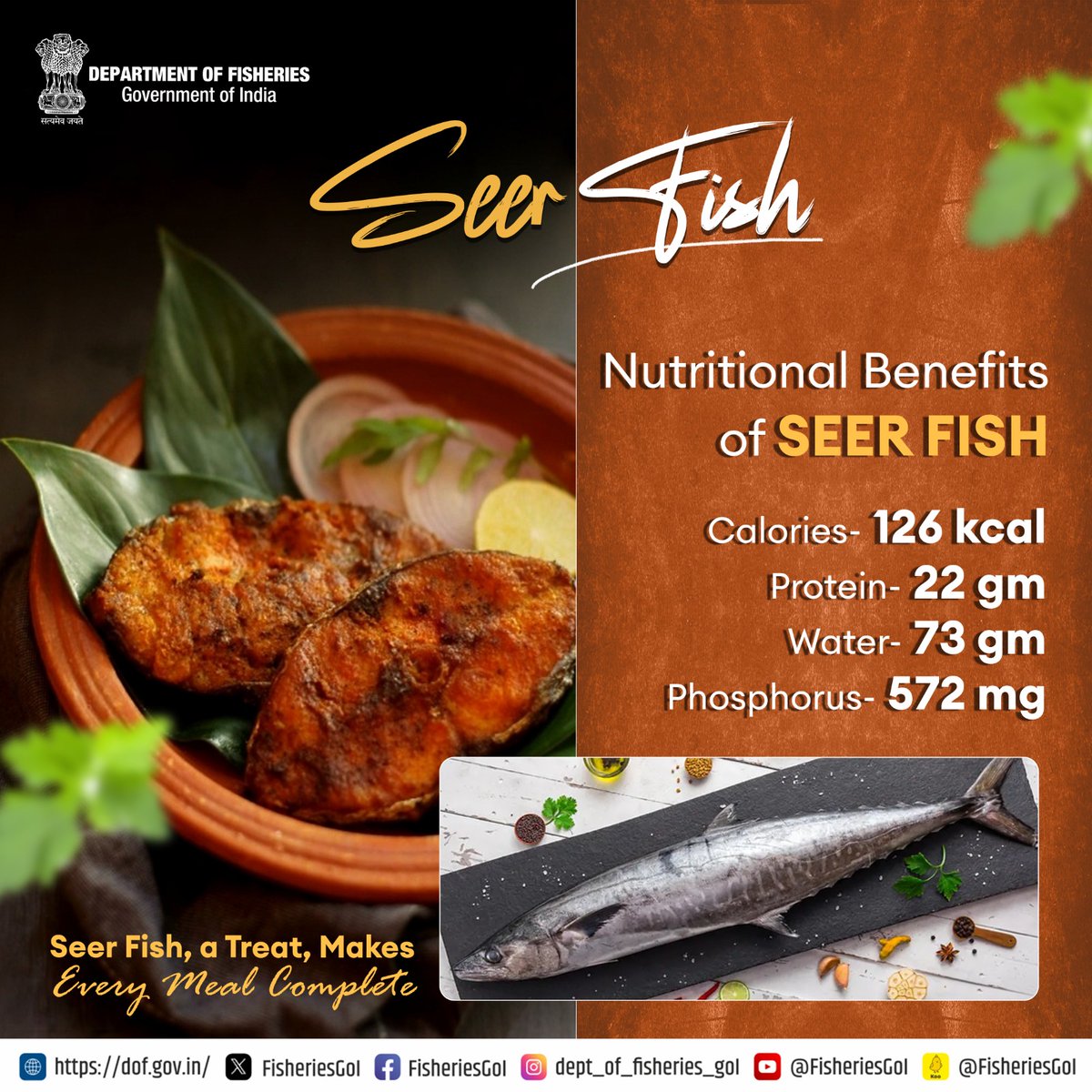 #Seerfish is also a commercially important fish because of its rich taste. #NutritionalBenefits #Fisheries