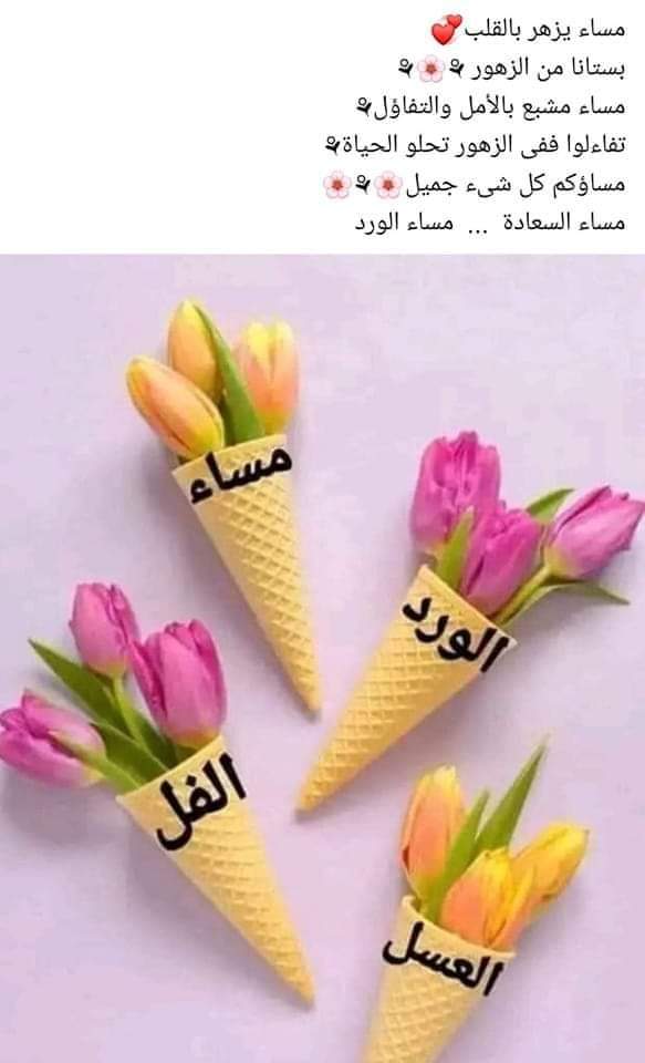 باسم ابو زريق qsaasots332 tweet media