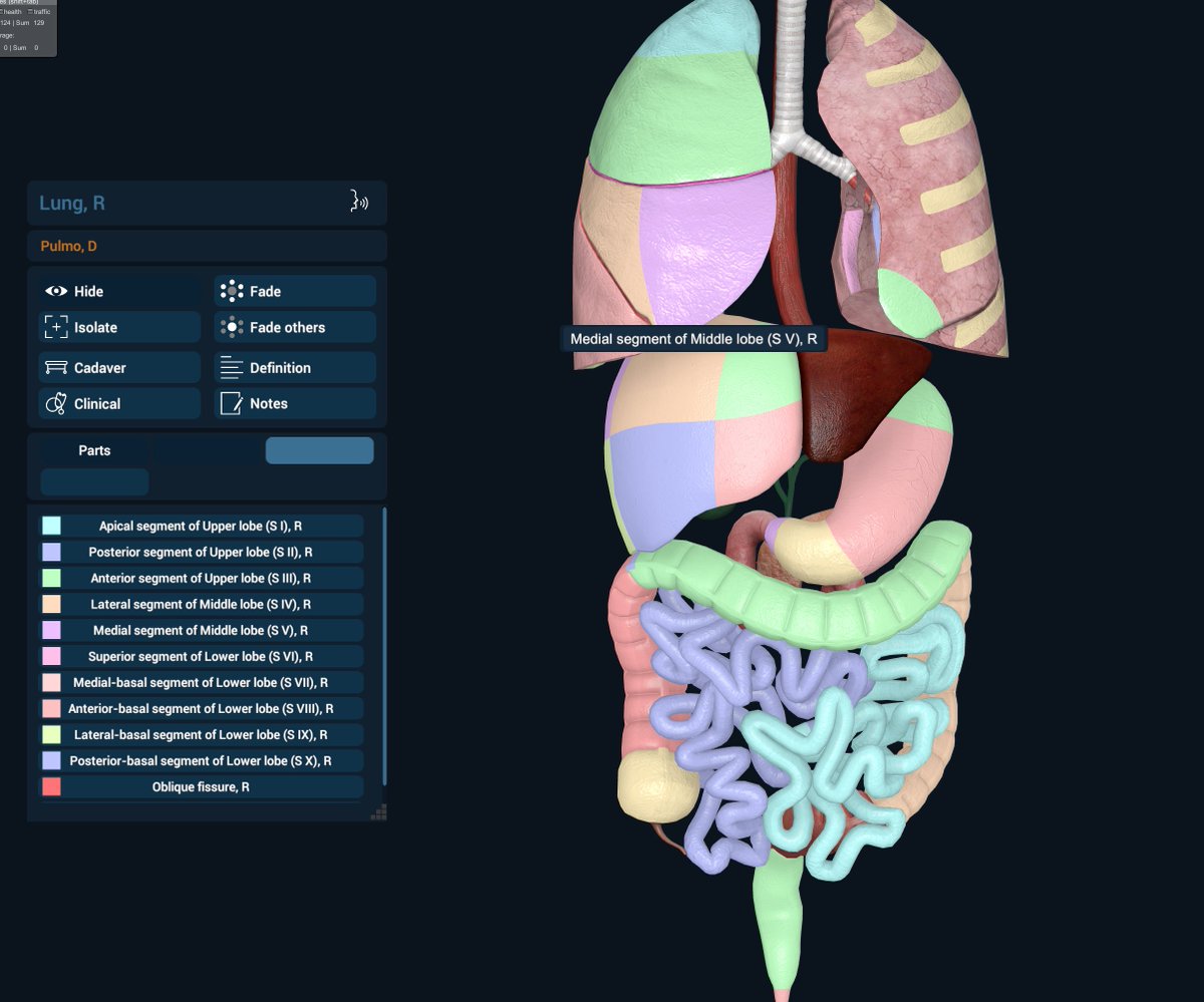 Are you ready for a sneak peek into the future of medical education? Introducing the latest advancement from the new 3D Organon - the brand-new organ mapping feature! #3DOrganon #MedicalEducation #Anatomy #Innovation