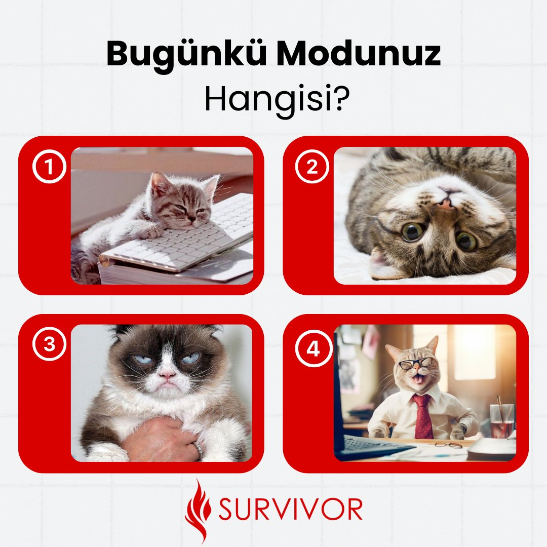 SurvivorDijital's tweet photo. 🌟  Bayram tatili sonrası ilk iş günü!  Peki, sizin bugünkü modunuz hangisi? 💼 Yorumlarda buluşalım, günün nasıl geçtiğini paylaşın! 

#pazartesi https://t.co/ky16kzNNHs