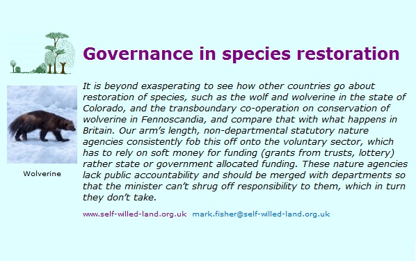 'Our depauperate aspiration for restoring wild nature, with government & its ministerial departments shirking direct involvement, is a symptom of conditioning & acculturation to the depauperate state of our #wildnature'
self-willed-land.org.uk/articles/wolve…
