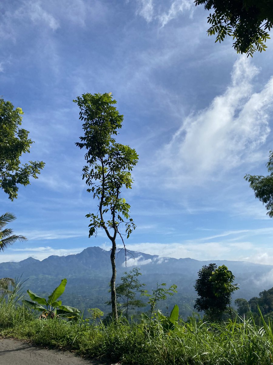 Riskyfird_'s tweet photo. 🏞️ https://t.co/lCVXkUrJS1