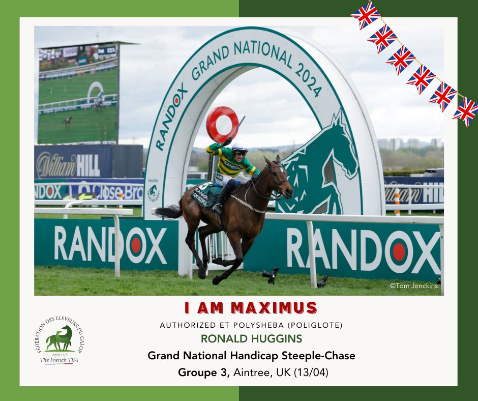 Fedeeleveurs's tweet image. 🇬🇧 I AM MAXIMUS, fils d' #authorized, s'empare du Grand National Handicap Steeple-Chase, Groupe 3 à Aintree Racecourse (13/04) 💯
Bravo à son éleveur Ron Huggins et à tout son entourage ! 🙌
#guardianofthethoroughbred #raceandcare