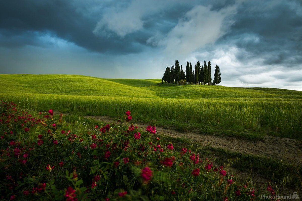 photohound's tweet photo. Dreaming of photographing Tuscan cypress groves today! Congratulations @vojtaherout, our Curators' Choice to start the week.
Find this and more stunning Tuscan spots in our Guide to Tuscany: https://t.co/4dJVOsSSbw 📷🇮🇹❤️ https://t.co/MuUhtfFxdk