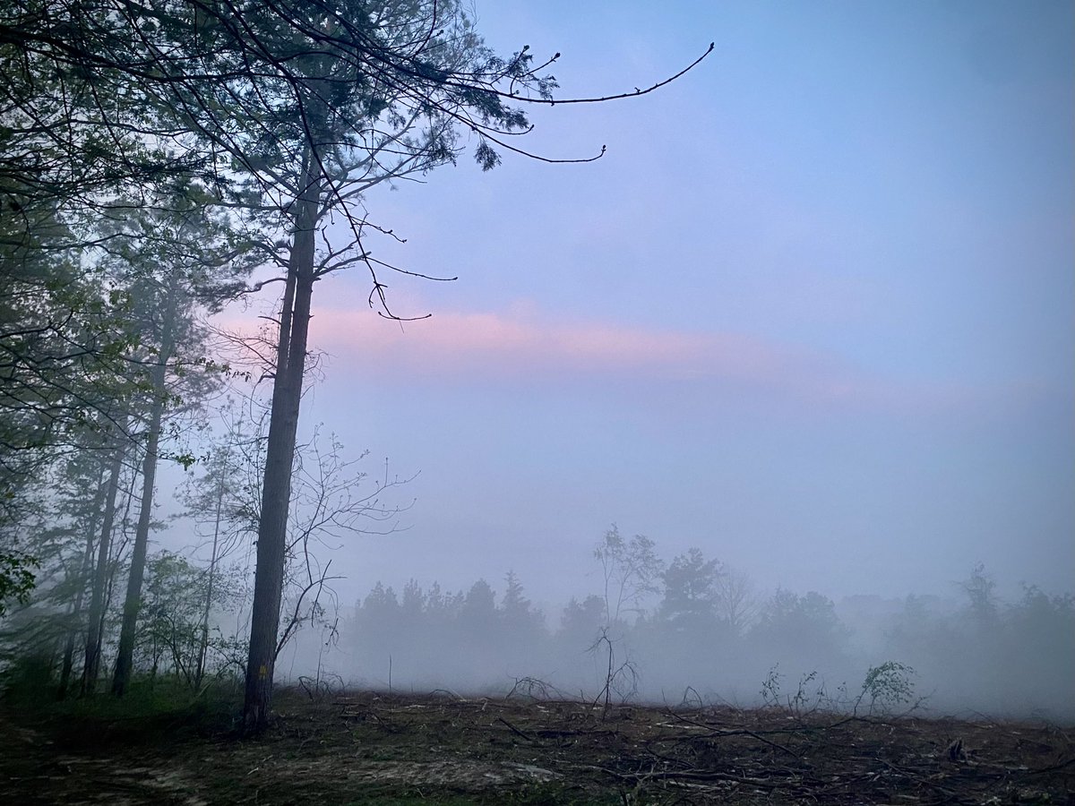 joshcurry11's tweet image. 🦃🦃🦃 opening day…waiting on the fog to lift from the mtn…no skipping cardio today!!