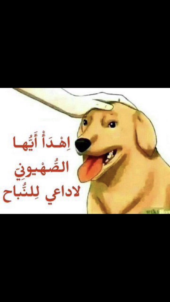 Ali_Hatrush's tweet photo. @faigalsheakh https://t.co/hMiQ7U1bZt