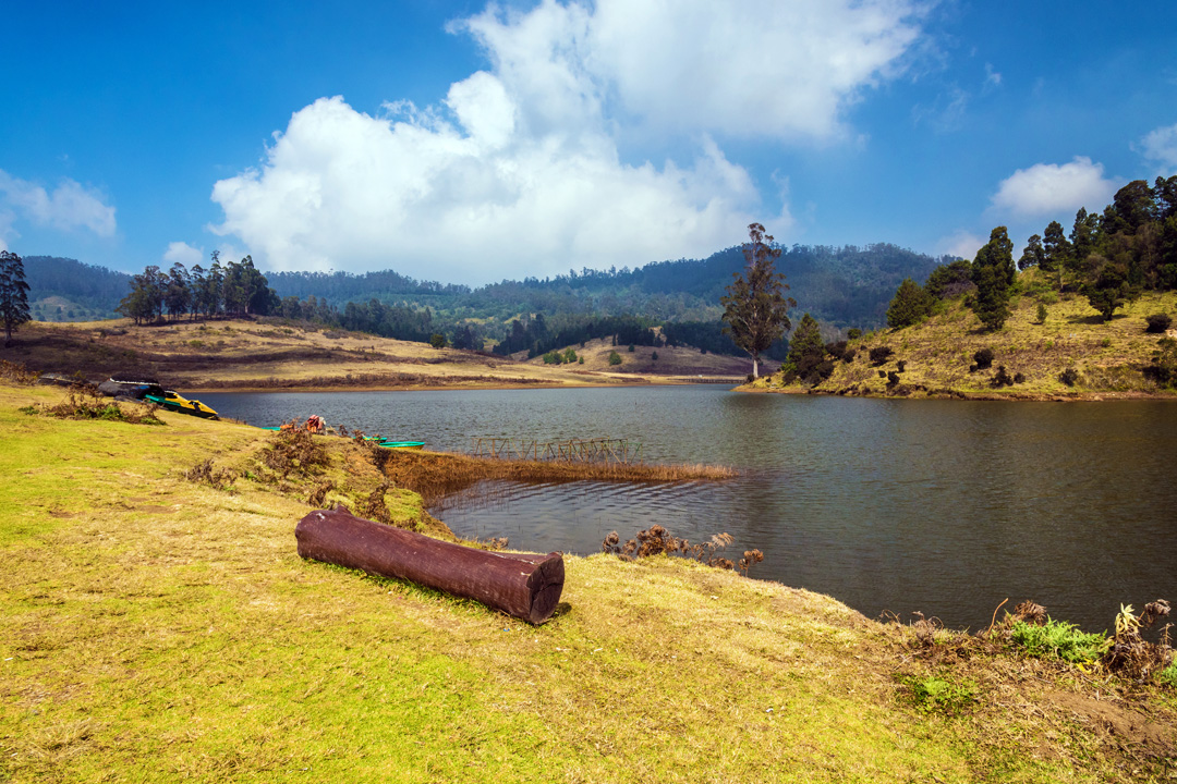 Looking for a serene getaway? Look no further than Mannavanur, one of the most enchanting places in Kodaikanal! The view of the lake amid the captivating meadows with majestic hills at some distance is worth capturing. Visit southtourism.in for #travel bookings.