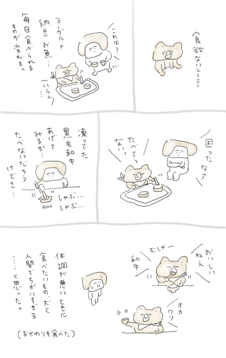 本日の晩ごはん 