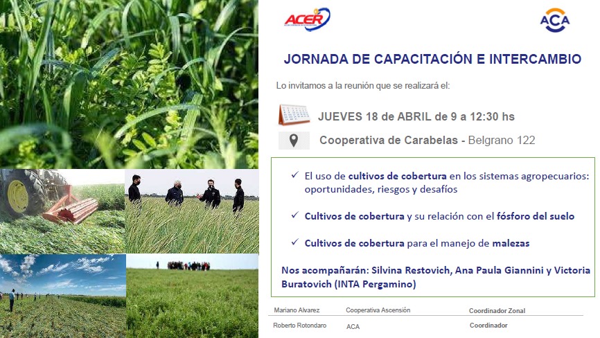 Ana Giannini (@anap_giannini) on Twitter photo 