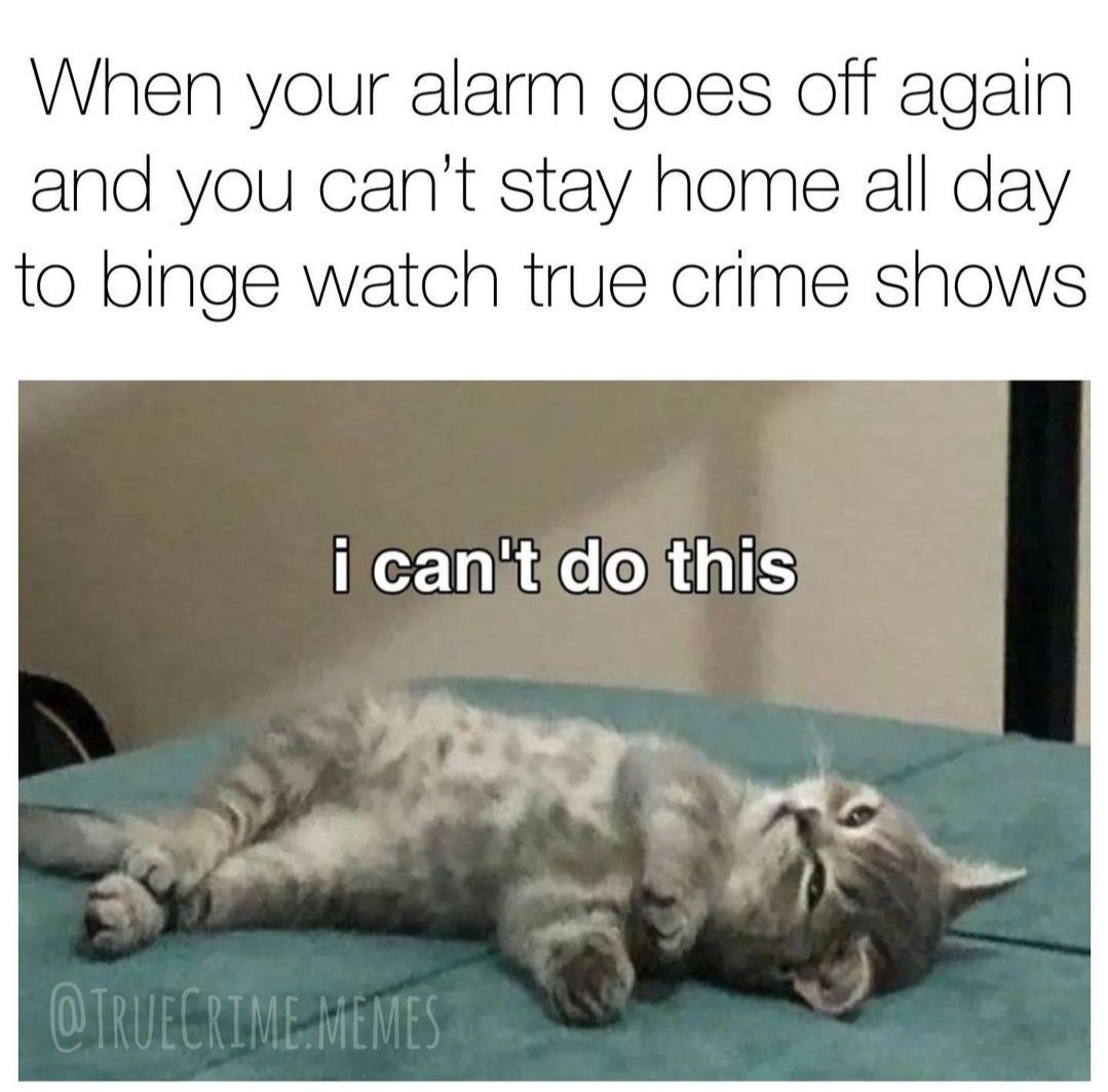 🤣😂🤣
#Memes #CrimeTimeGames #MemeMonday #TrueCrime #Podcast