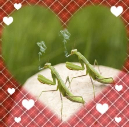eat5G's tweet photo. https://t.co/epySFeS3Yi