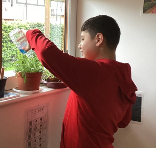 Starling Class have been growing plants from seeds. Such good care and measuring growth! #horticulture #FunLearning