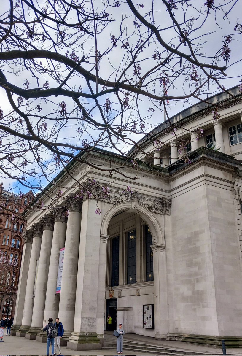 Blossoms and Books walking tour from @NTCastleDuct this Friday 1.30 We will vist @ThePortico and Central Library for botanical wonders plus blossoms on the streets nationaltrust.org.uk/visit/cheshire… @Aristolochia