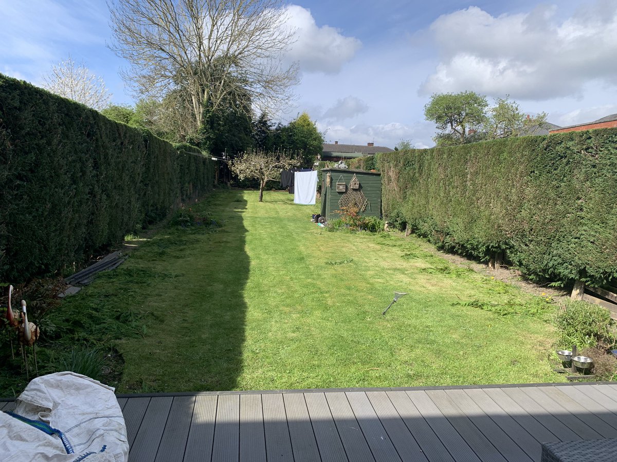Little hedge cutting job I did for my mate yesterday. That hedge was about 40ft tall and 10ft wide when she moved in, approx 7 years ago. It’s amazing to see how well it’s grown back after being hacked down.