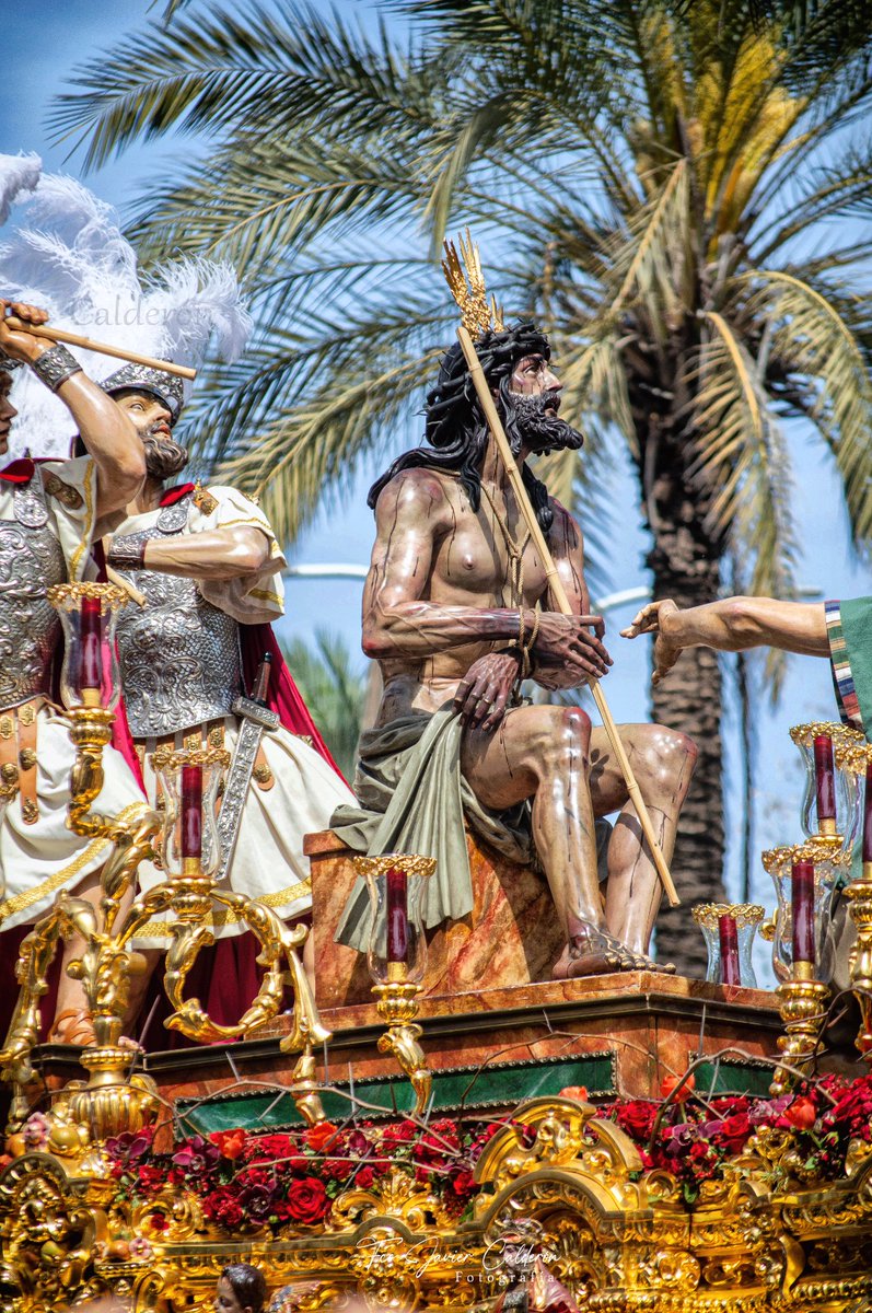 Fco Javier Calderón tweet media