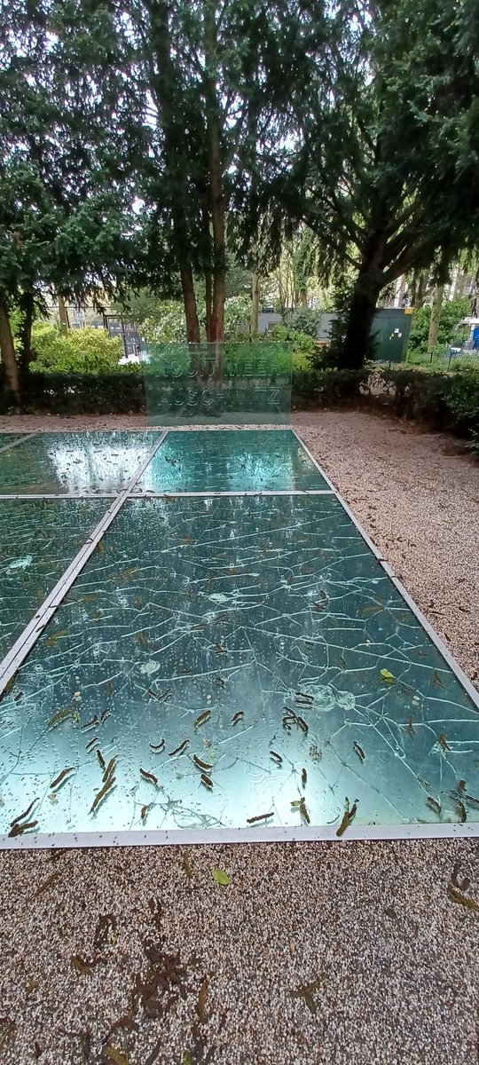 This is the #auschwitz memorial in #Amsterdam. Broken glass. 'Never again on this spot will the sky be whole'. #remember #neverforget #holocaust