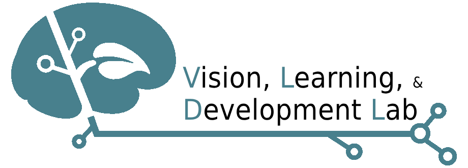 Super excited to announce that I'll be joining @TempleUniv as an assistant professor of Psychology and Neuroscience! The Vision Learning and Development Lab will officially open its doors in Summer 2025! vlad-lab.com