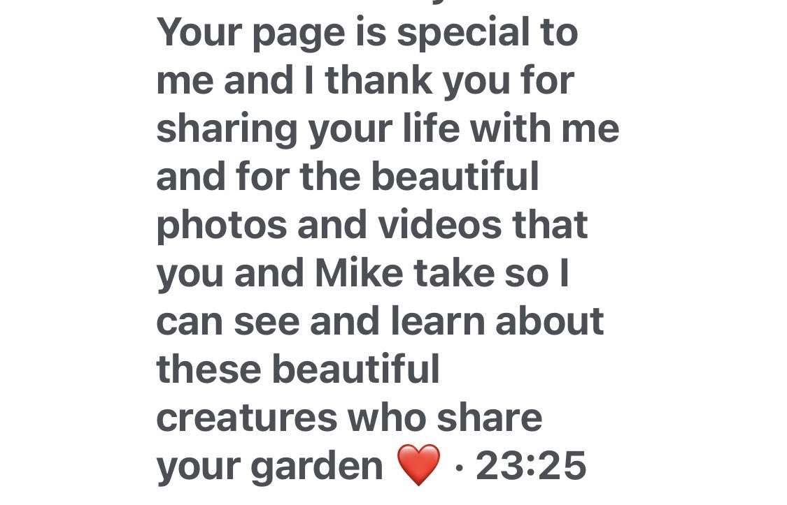 I just had to share this lovely comment from a follower in New Zealand. It still amazes me how invested you lovely people are in Mr Lumpy & Friends and I feel humbled and honoured at all your wonderful comments 🙏🦡🐾🐾❤️