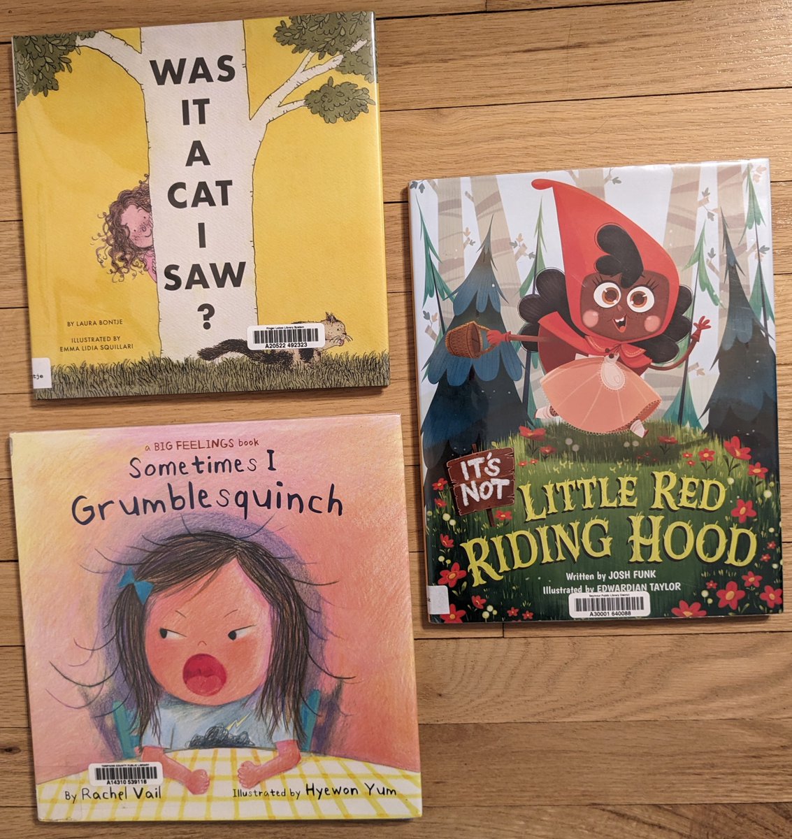 More #library haul, best #picturebooks #kidlitart #kidlit Was It A Cat I Saw? - @LauraBontje & Emma Lidia Squillari It's Not Little Red Riding Hood - @joshfunkbooks & @edwardiantaylor Sometimes I Grumblesquinch - @rachelvailbooks & @HyewonYum