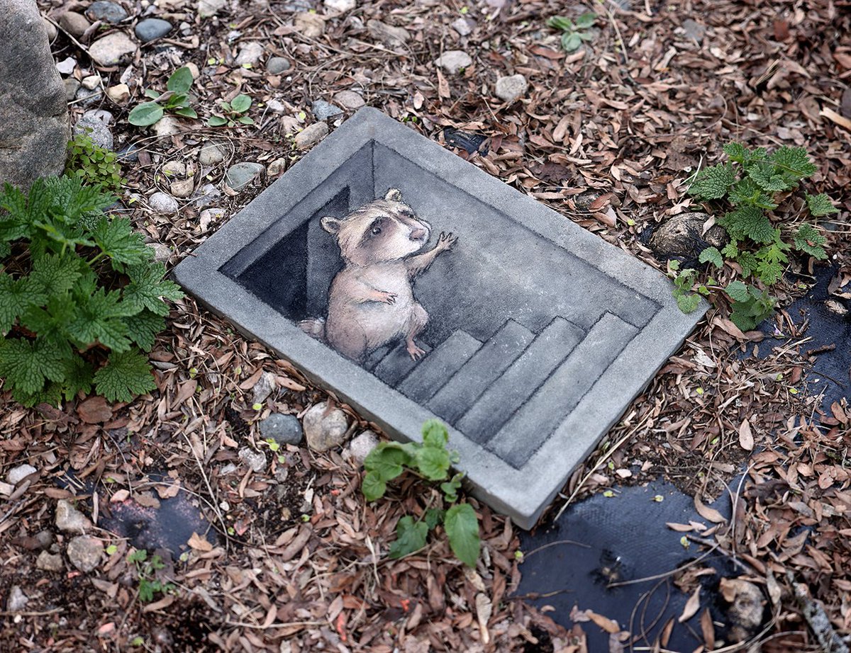 Aiden comes up once a week to check on the condition of the world and find a week’s worth of snacks. #StreetArt #SidewalkChalk #3DChalkArt #raccoon #bunker #TakingTheStairs