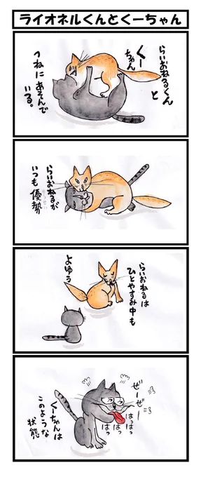 くーちゃんとライオネルくんです
どちらも猫です🐈‍⬛
 #ねこ #四コマ漫画 