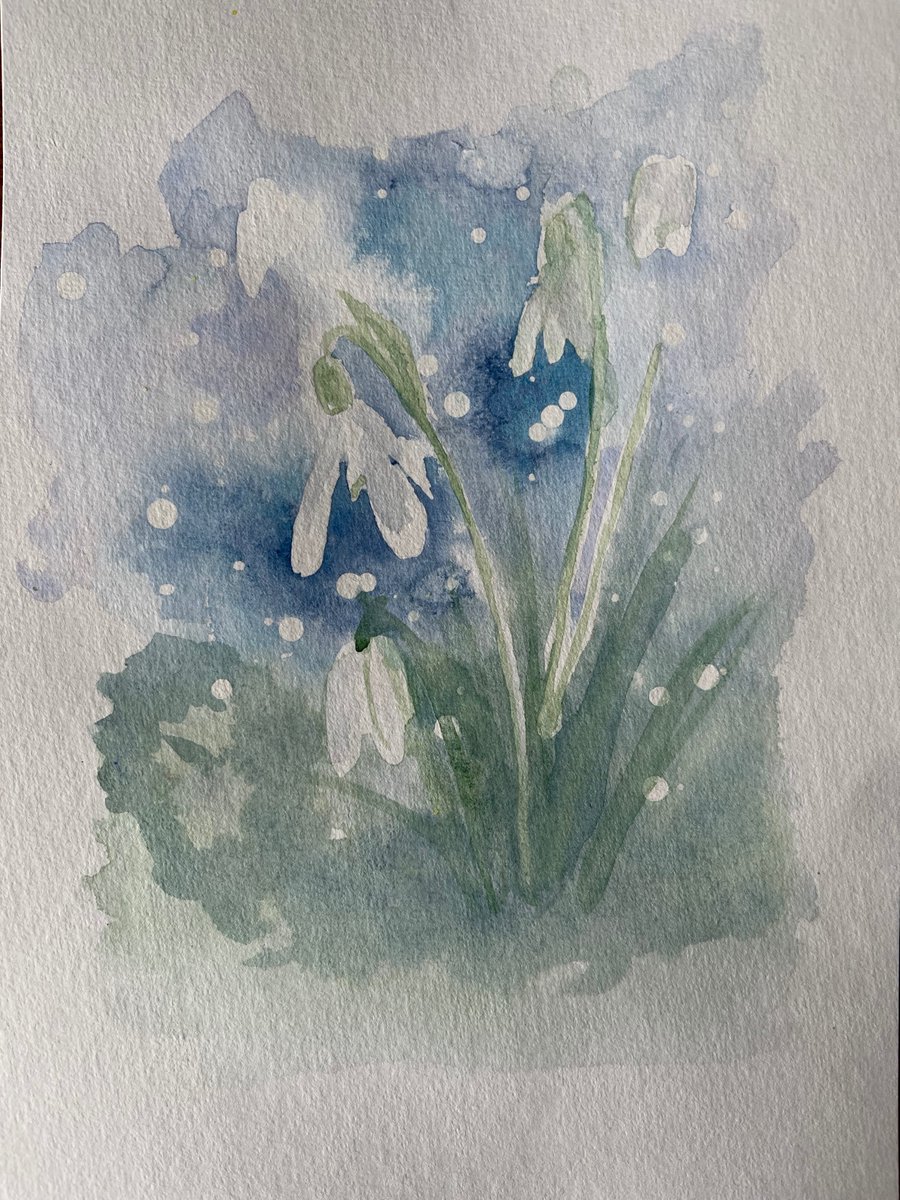 On a drab day, a recent piece of art I completed.  Snowdrops in watercolour.

#paintings #watercolorpainting #watercolour #Flowers