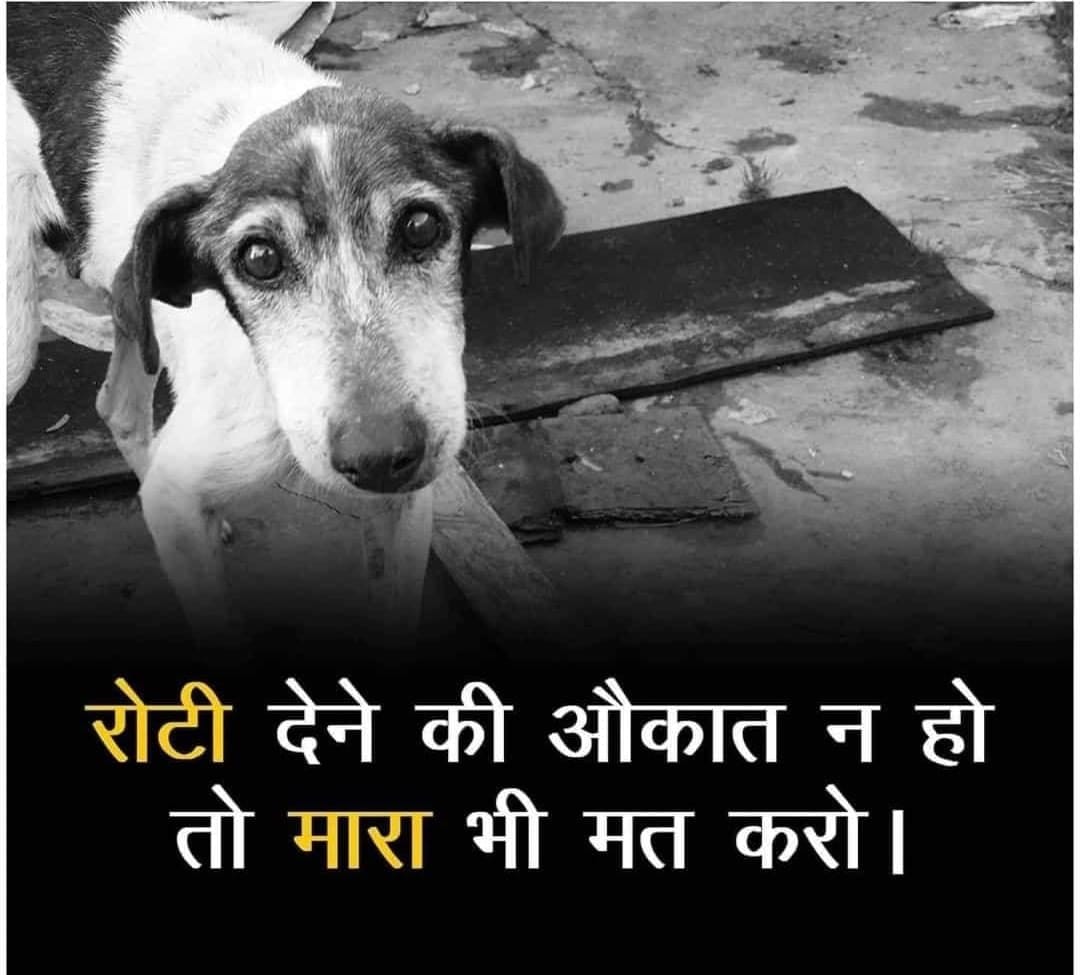 karuna_rajkot's tweet image. रोटी देने की औकात न हो तो मारा भी मत करो ।
#NoViolence #RespectLife #CompassionFirst #EndCruelty #StopAbuse #KindnessMatters #HumanityFirst #LoveNotViolence #EmpathyWins #ChooseKindness #NonViolentActions #StandForPeace #StopTheViolence #SpreadLove #BeKind #NoToCruelty