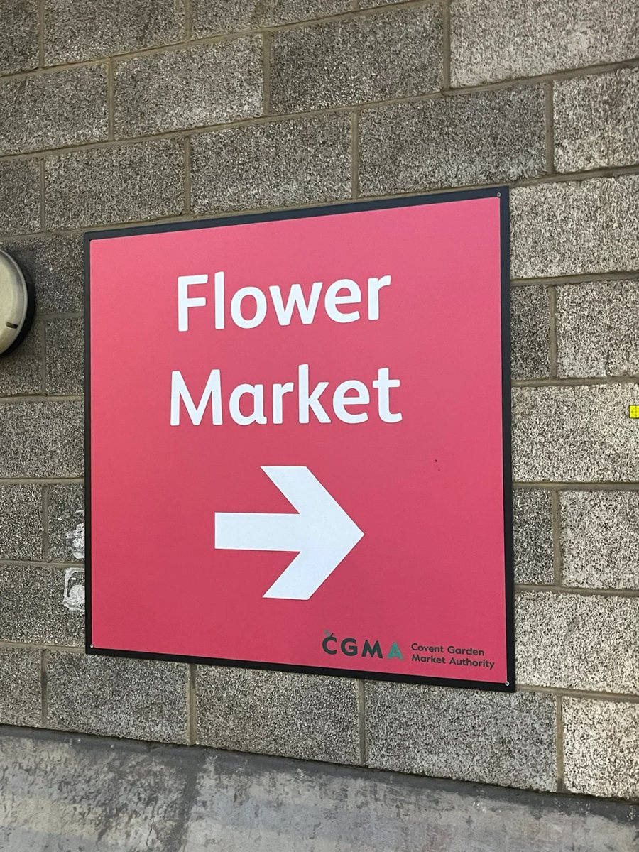 garyoirgg's tweet photo. I believe I must find a Monday to come here early to buy flowers! It’s too late and all the beautiful flowers will be sold out! 
Looking at these flowers every day makes me feel better. They bloom more and more every day and change colors! I have kept these flowers for four days. https://t.co/g65nsNzHK4