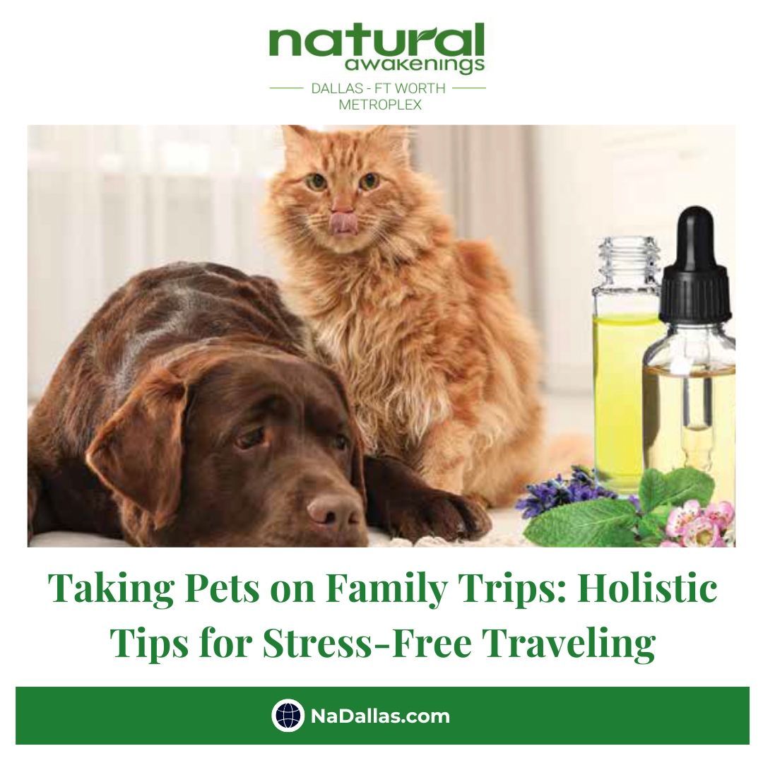 Taking Pets on Family Trips: Holistic Tips for Stress-Free Traveling nadallas.com/2024/03/29/485… 

#pets #dogs #cats #familytrips #stressfree #travelling #dallas #texas