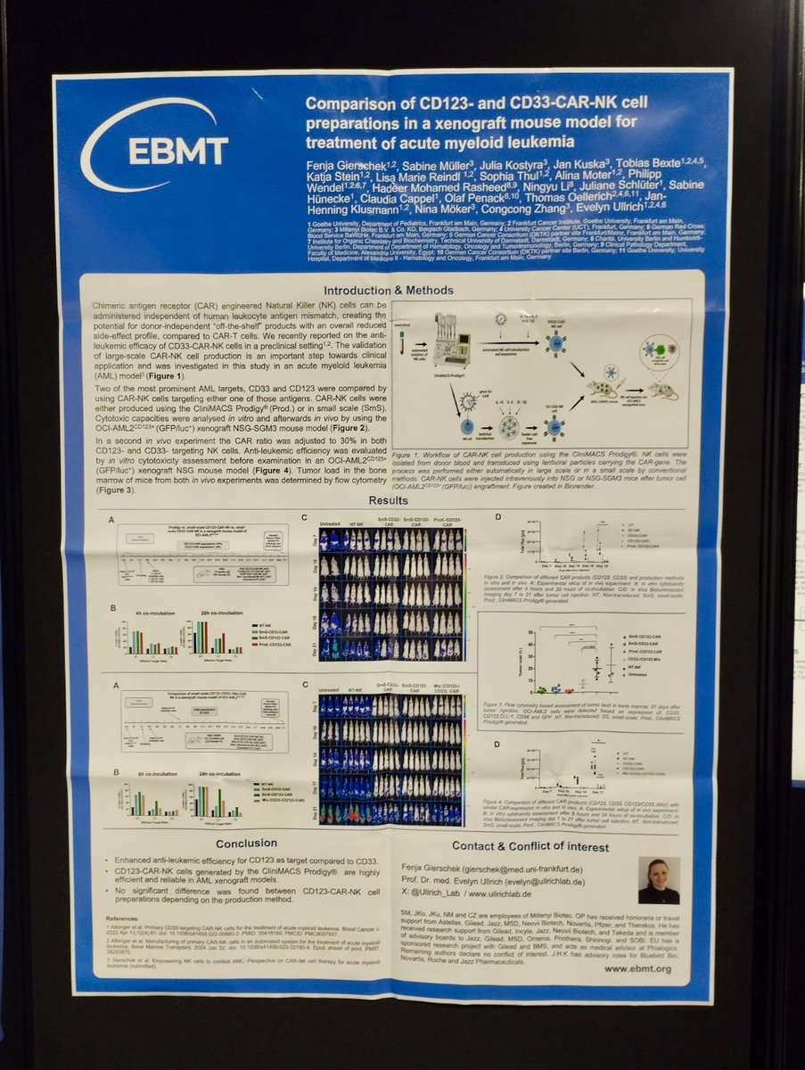 CD123 or CD33 for #AML? Exciting in vivo comparison of #CAR #NKcells generated manually vs. automated CliniMACS Prodigy. Step by to discuss our #unpublished data w/talented Fenja Gierschek at #Poster A068 tonight. @TheEBMT #EBMT24🇮🇪 #leusm #translation 
ebmt2024.abstractserver.com/program/#/deta…