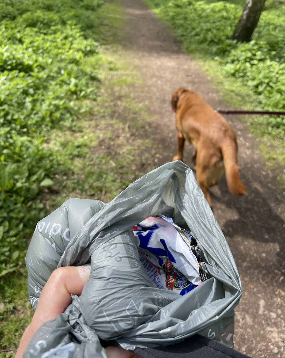 Happy Monday - Let’s get out & make a difference! A couple of pieces of #litter on every walk, every day. So simple, so AMAZINGLY effective! Let’s spread the word! Great for #mentalhealth & positivity. 😊💕 #pawsonplastic #dogsofx #springcleanscotland