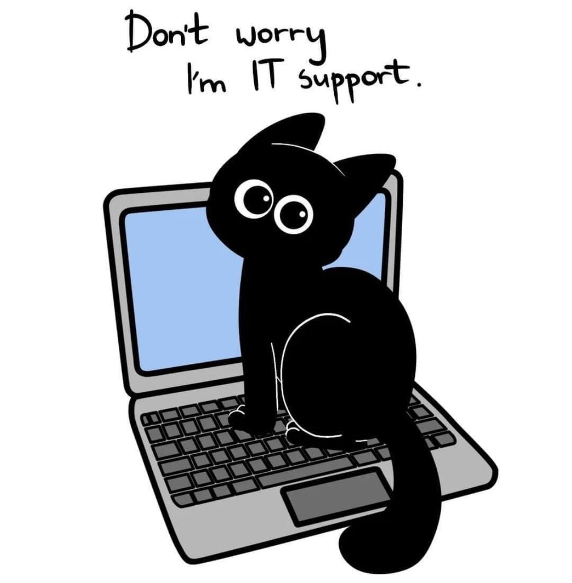 Dolphin Computer Upgrades Ltd tweet media