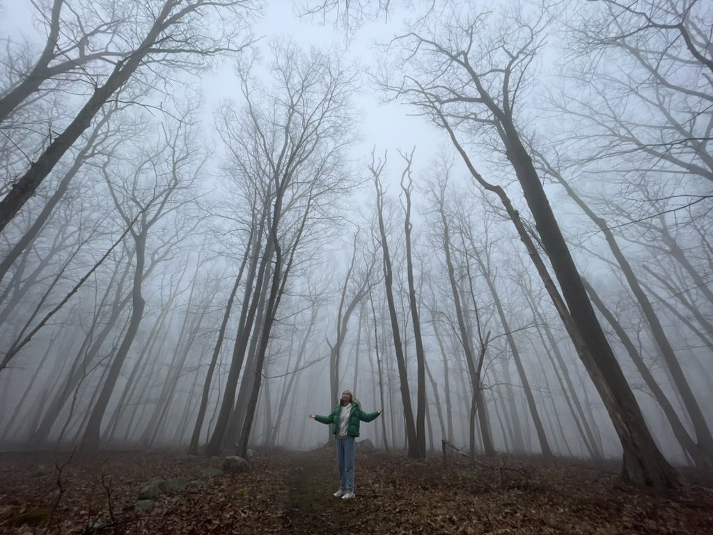 Happy Monday! Hiking through @exploreharriman (and loving the trees and the diffused light) reminded me that the forces of nature are more powerful than us. #spring #nature #love #photography #naturephotography #instagood #springtime #picoftheday #mom #travel #trees #hiking #hike