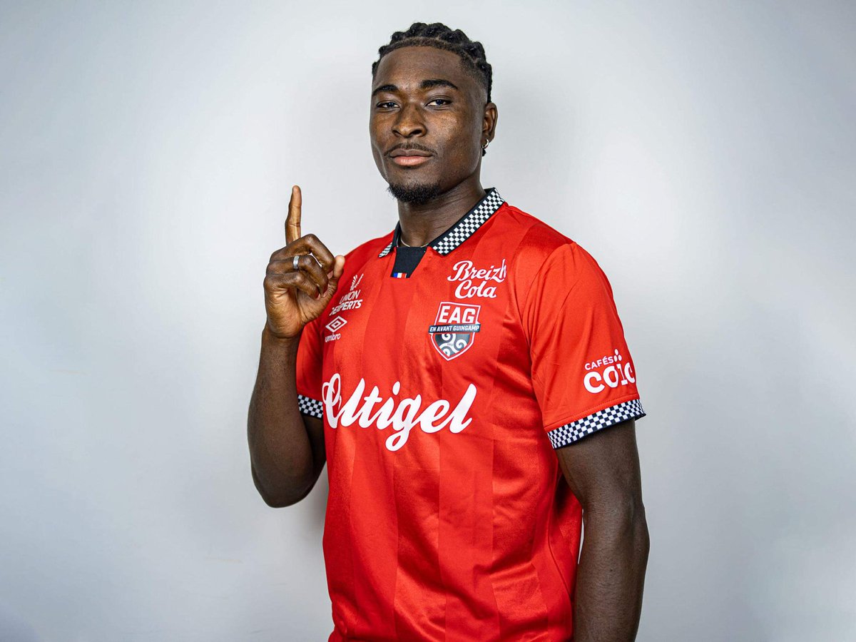 Guingamp Premium tweet media