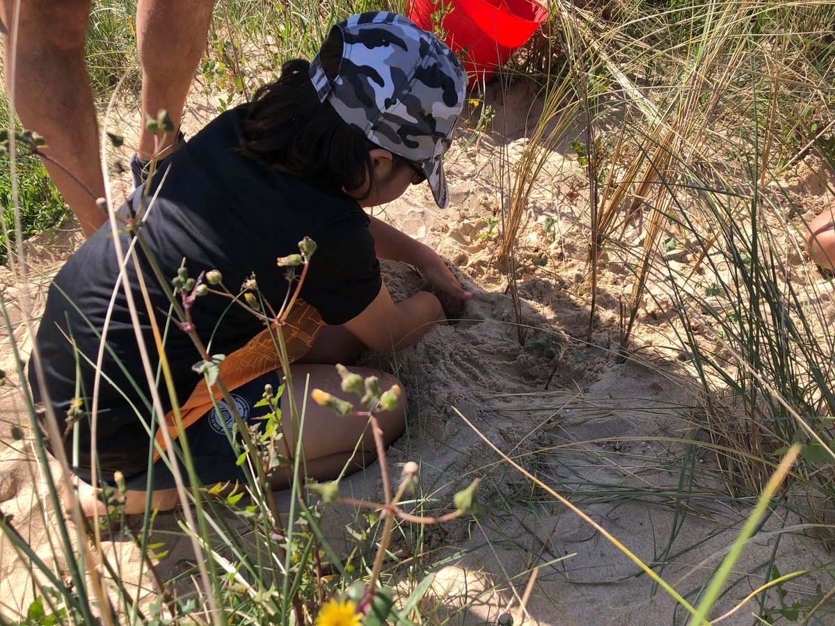 Eliminamos planta invasora (Onagra) y su sustitución por planta autóctona. Este proyecto, ejecutado por la Red Cántabra de Desarrollo Rural está cofinanciado por <a href="/caixabank/">CaixaBank</a>  en la convocatoria de medioambiente 2023
redcantabrarural.com/noticia-red/vo…