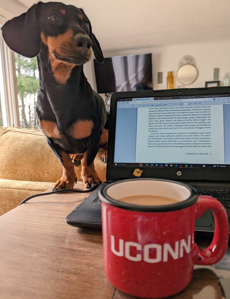 Daniela Domínguez tweet media