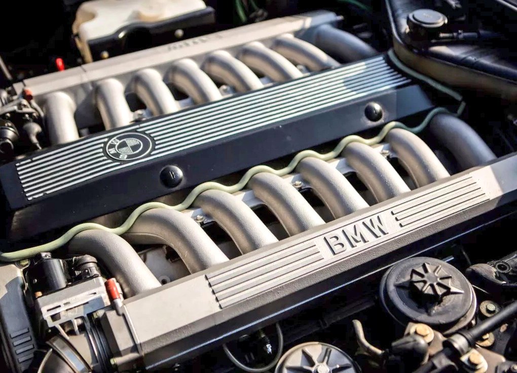 Candy Shop 🐦 tweet media