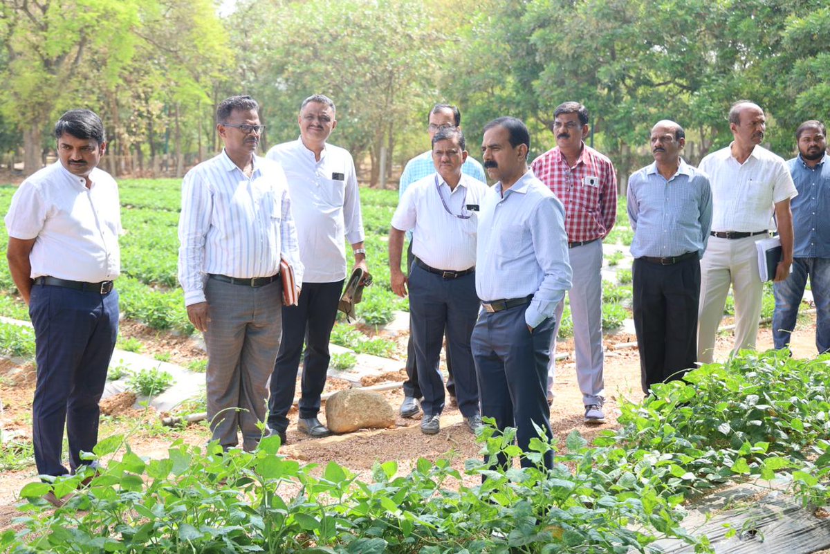 MaheshHBG's tweet photo. "Hon'ble VC Dr. S V Suresha sir visited  Plant Breeding Research plots at K Block, GKVK @BangaloreUas interacted among plant breeders." https://t.co/mbGdiqlTZt