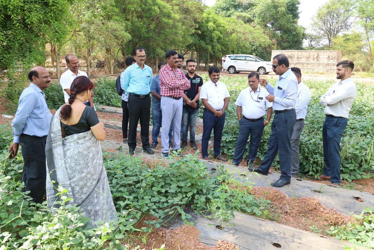 MaheshHBG's tweet photo. "Hon'ble VC Dr. S V Suresha sir visited  Plant Breeding Research plots at K Block, GKVK @BangaloreUas interacted among plant breeders." https://t.co/mbGdiqlTZt
