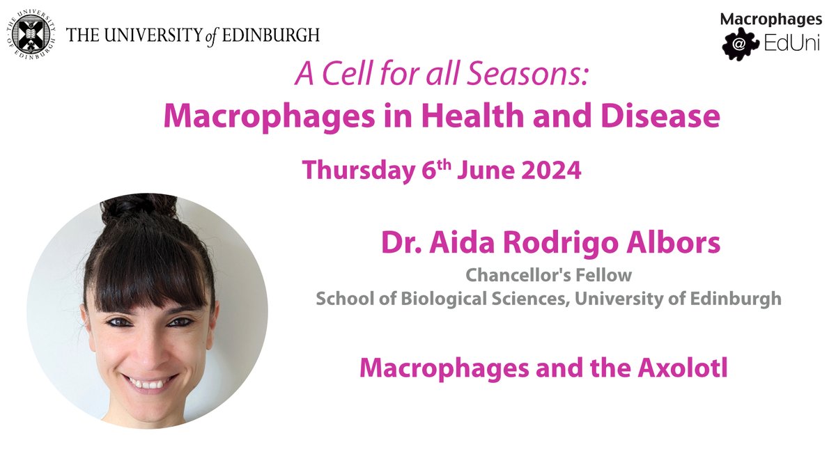 Next @MacEdiUni symposium speaker profile is @aidarodrigo from @EdinUni_IRR. Aida will tell us about how the #axolotl can inform our understanding of tissue #regeneration. Join us in June for a macrophage extravaganza!! Registration👉ed.ac.uk/inflammation-r…
