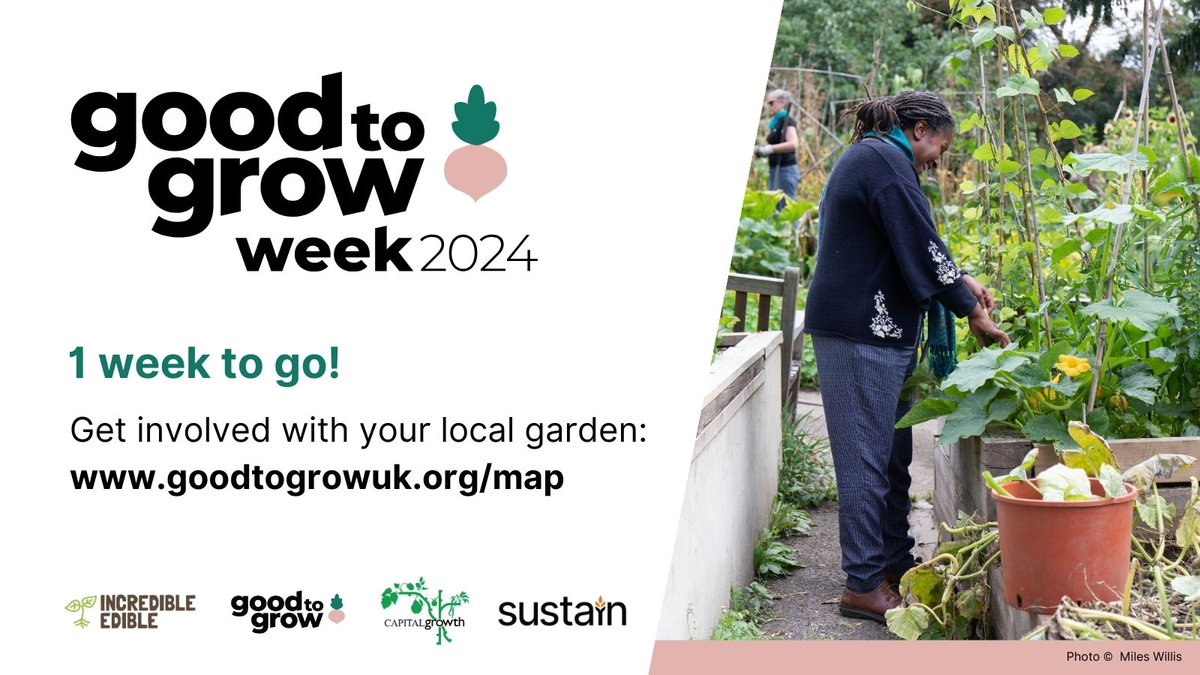 We're only 1 week away from Good to Grow week 2024! Next Monday, gardens across the UK will open their doors, run activities and host events to celebrate the new growing season and power of community growing action 🥕 goodtogrowuk.org/map/