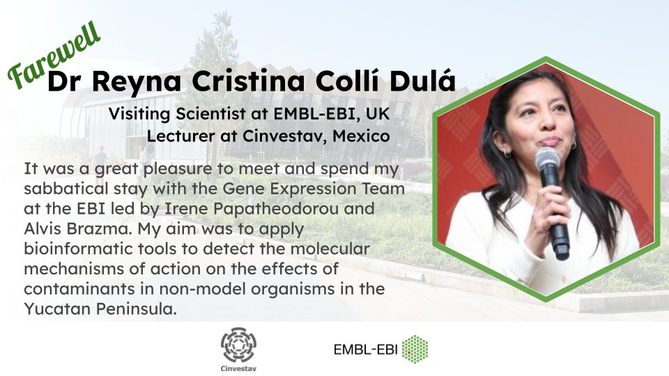 ExpressionAtlas's tweet image. Saying goodbye to our visiting scientist @ColliDula, Lecturer at @cinvestav, was bittersweet. Her insights sparked innovation and her friendship brightened our lab. Farewell, and may your future endeavours be as enriching as your time with us! #ScienceCommunity #Farewell
