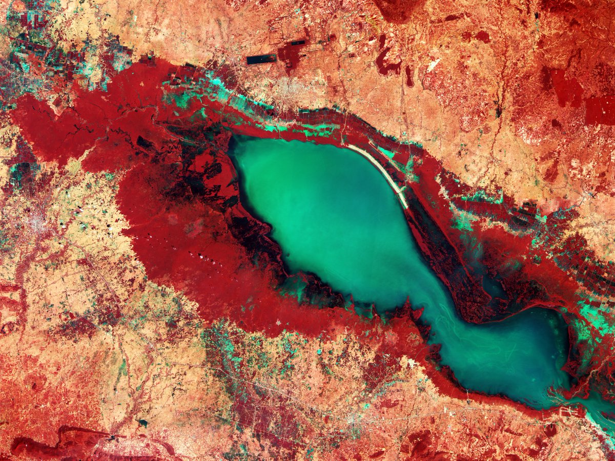 What do you need on a Monday? We need... colours! This colourful @CopernicusEU #Sentinel2 features the Tonle Sap lake in central Cambodia: it's a floodplain reservoir and a World Network Biosphere Reserve by UNESCO. Fun fact: in the upper central part of the image you can see…