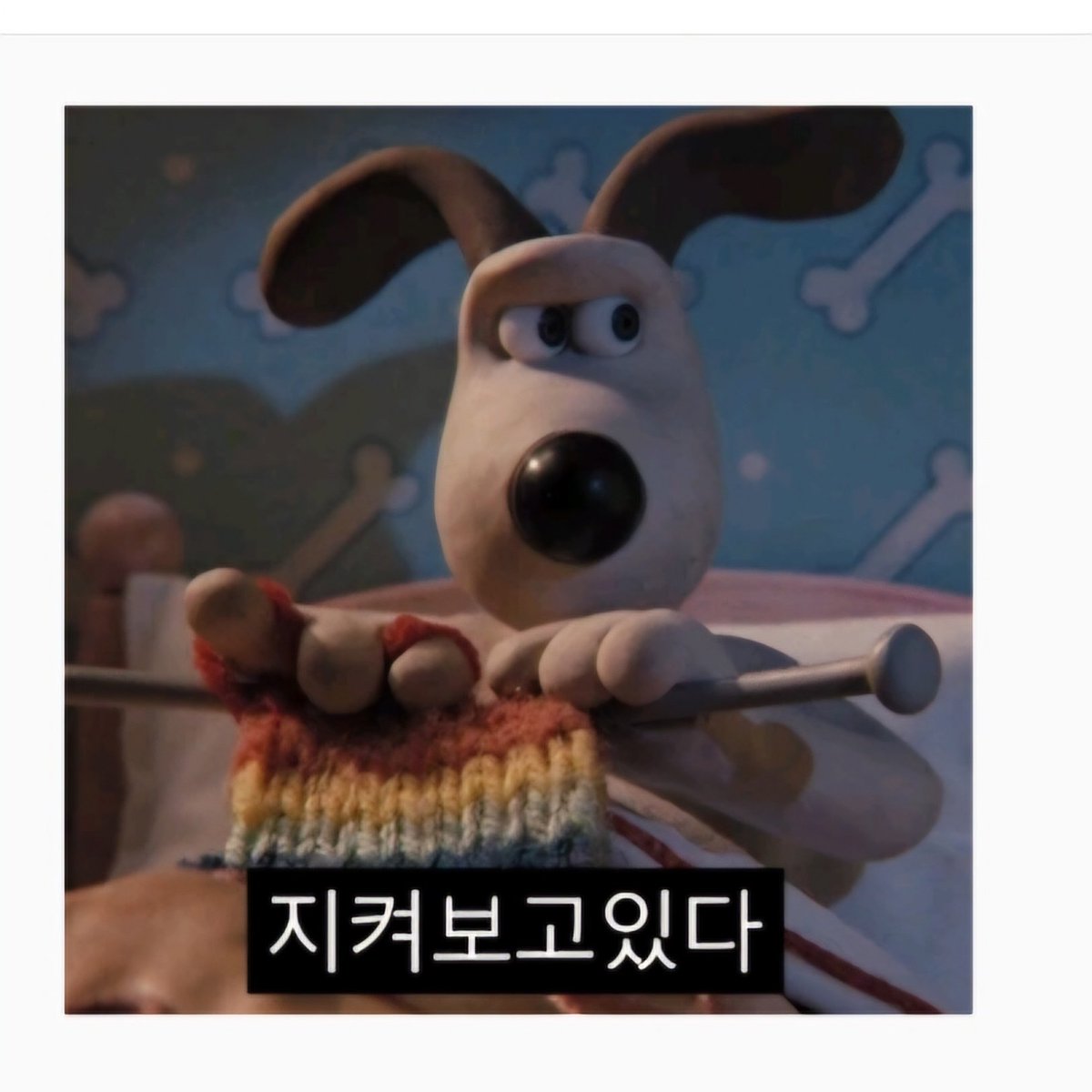 그로밋 임티 나왔는데 저 지켜보고있다 정용화 아닌가?ㅋㅋㅋㅋㅋㅋㅋ