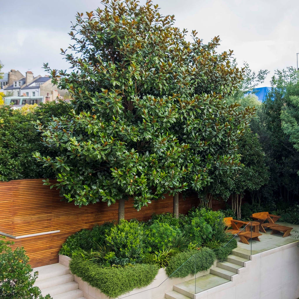 Attention to detail is our cornerstone, whether it's perfecting pointing joints or meticulously adjusting tree positions. Our skilled team are committed to establishing your garden with precision and care.

#gardendesign #gardenlandscaping #landscaping #londongardens