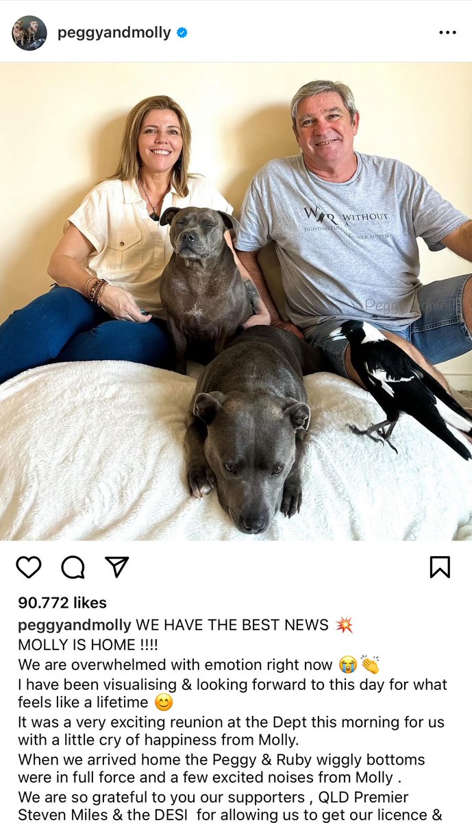 A ima i nas koji vjerujemo da se ponekad i brda mogu pomaknuti. Kad volis nekoga, ne odustajes!!! Molly je opet sa svojima💘