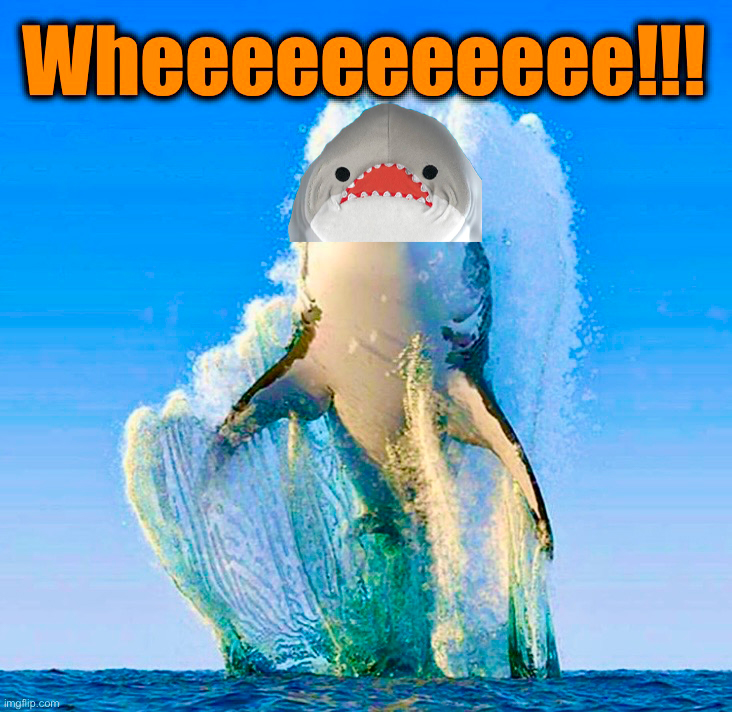 🚀 Wheeeee! The $CS community keeps growing and we've got an amazing chart to prove it!

CA:  99ExaANo8At2CpCekjZtWL6tbi22qjk1nrkPJDEShPuL

Join now the top Solana community🦈🔥
copyshark.tech 
t.me/copysharksol