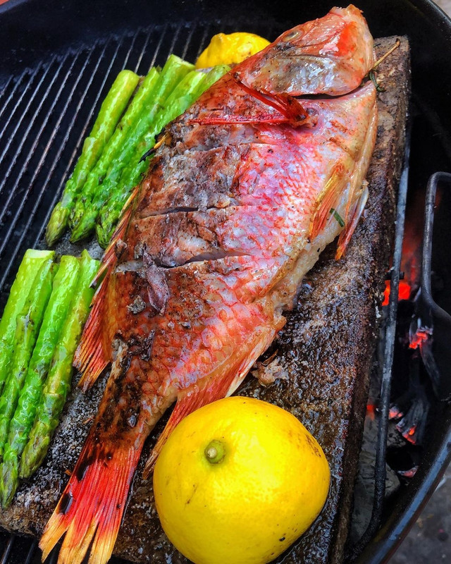 OK folks - how about a fish on the BBQ? Like this wonderful Red Snapper!?!? 😋 🐟 🐟 📷 @tremblaybbq Northern red snapper stuffed with garlic, shive, lemon and rosemary 👌 🐟 🐟 #tremblaybbq #bbqquebec #redsnapper #bbqredsnapper